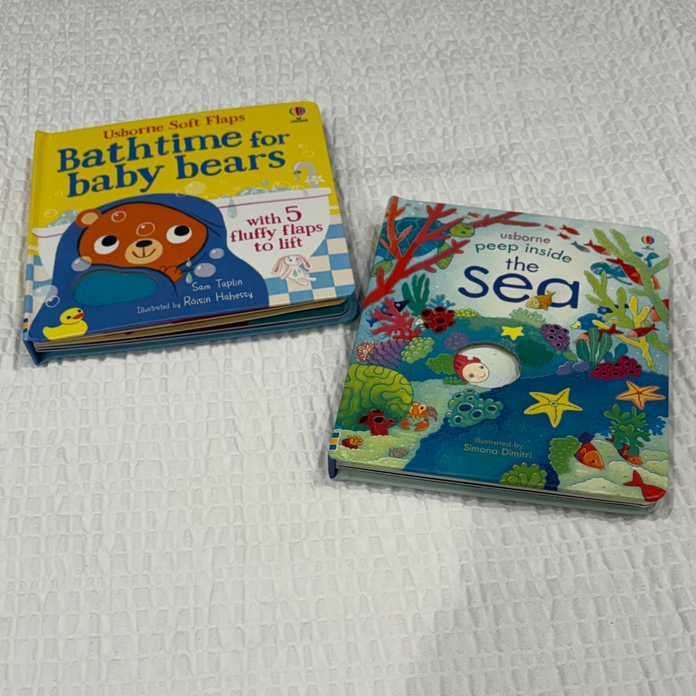 Usborne Children's “Lift the Flaps”Books Set